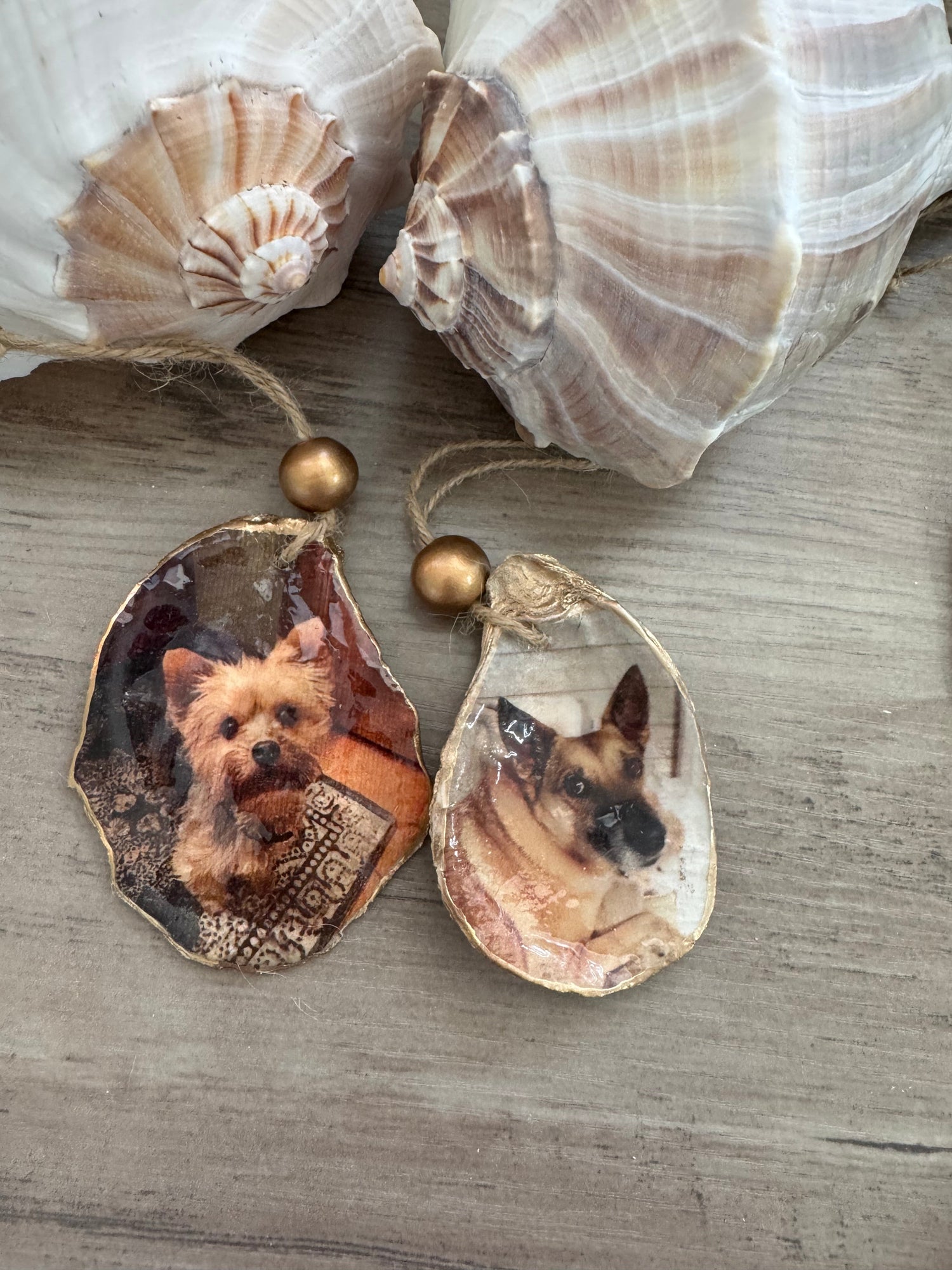 Memory/Keepsake Shell