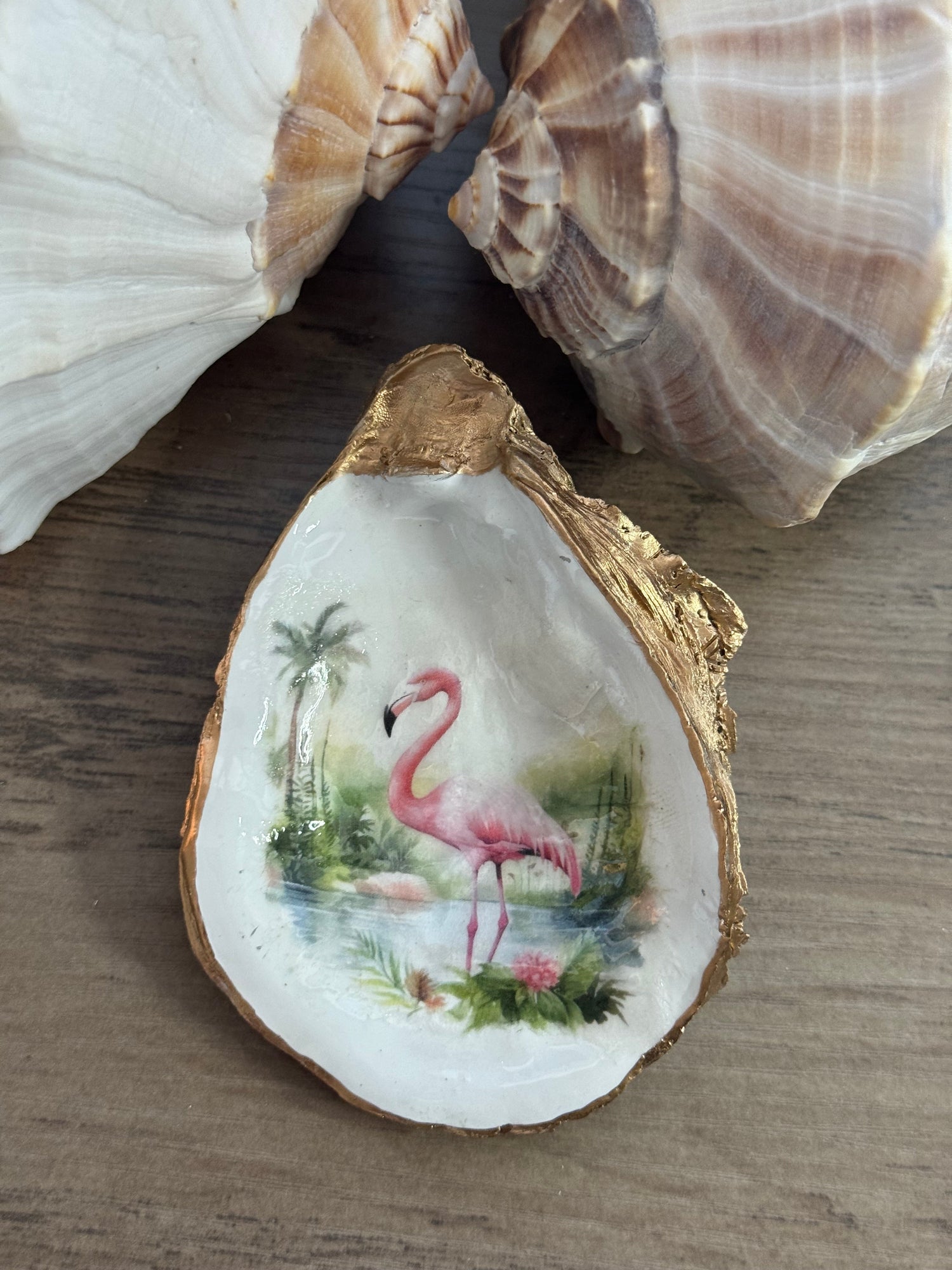 Seaside Expressions Collection