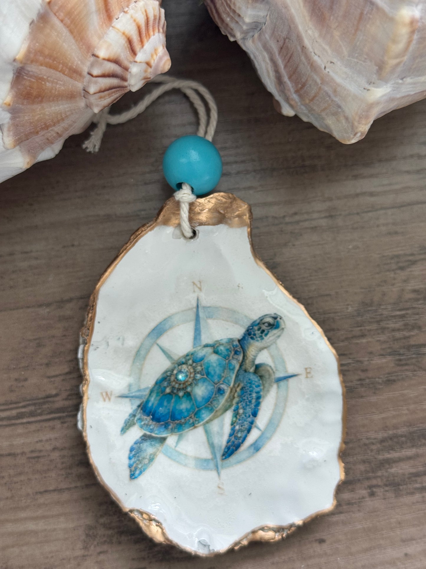 Nautical Compass Shell Ornaments