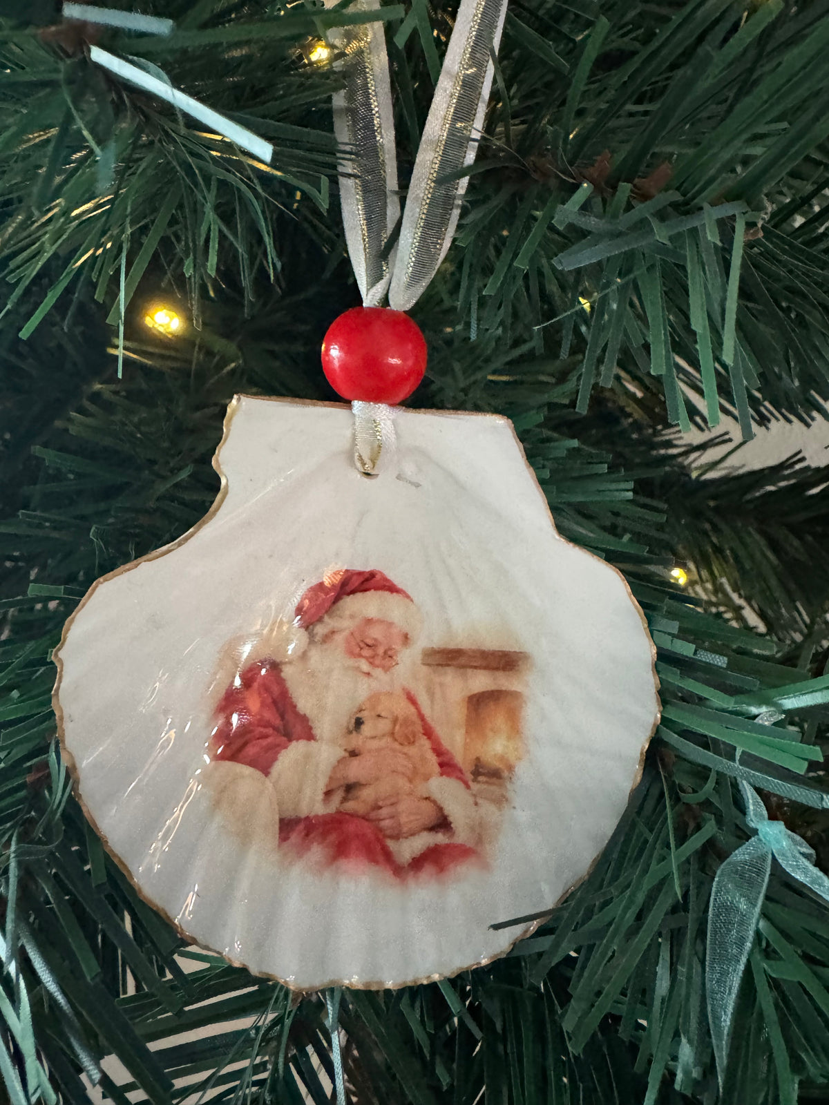 Santa Christmas Glow Lighted Shells