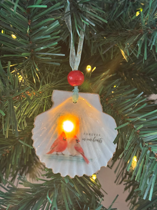 Lighted Shell Ornaments