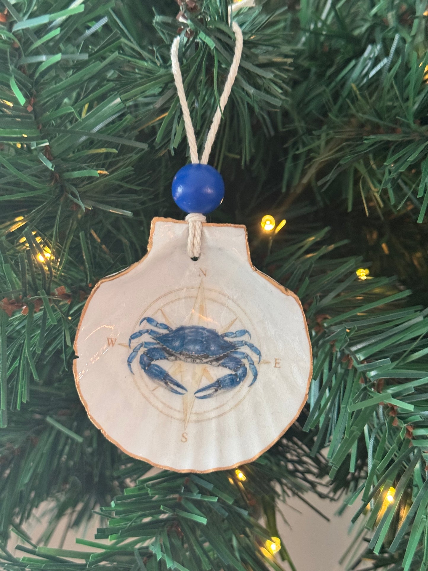 Nautical Compass Shell Ornaments