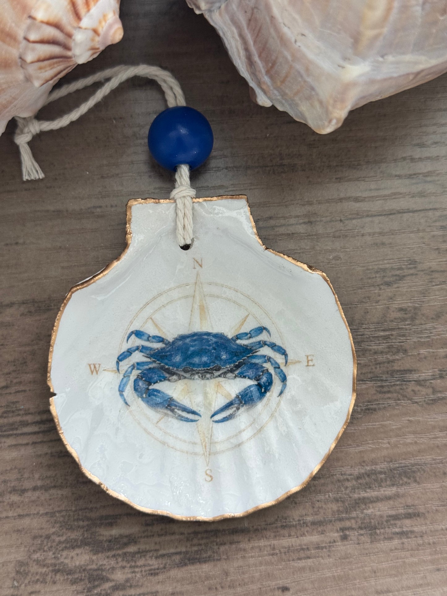Nautical Compass Shell Ornaments
