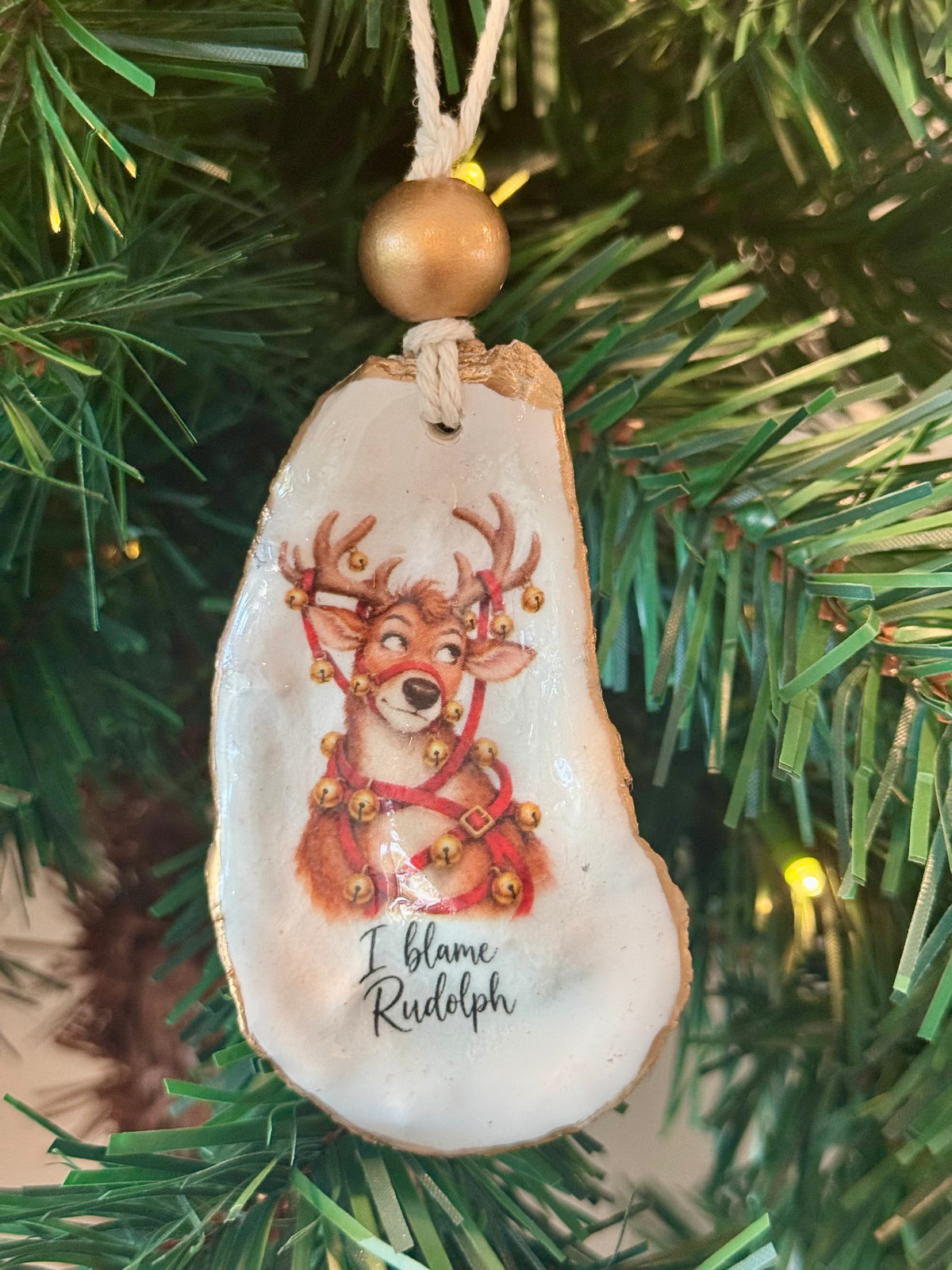 North Pole Attitude Ornament