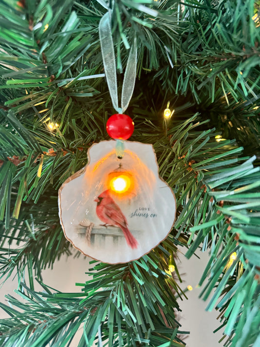 Lighted Shell Ornaments