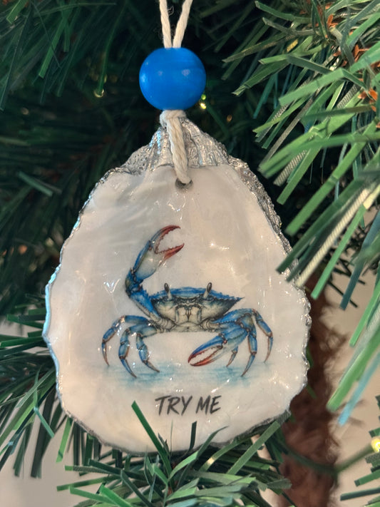 Coastal Attitude Ornament