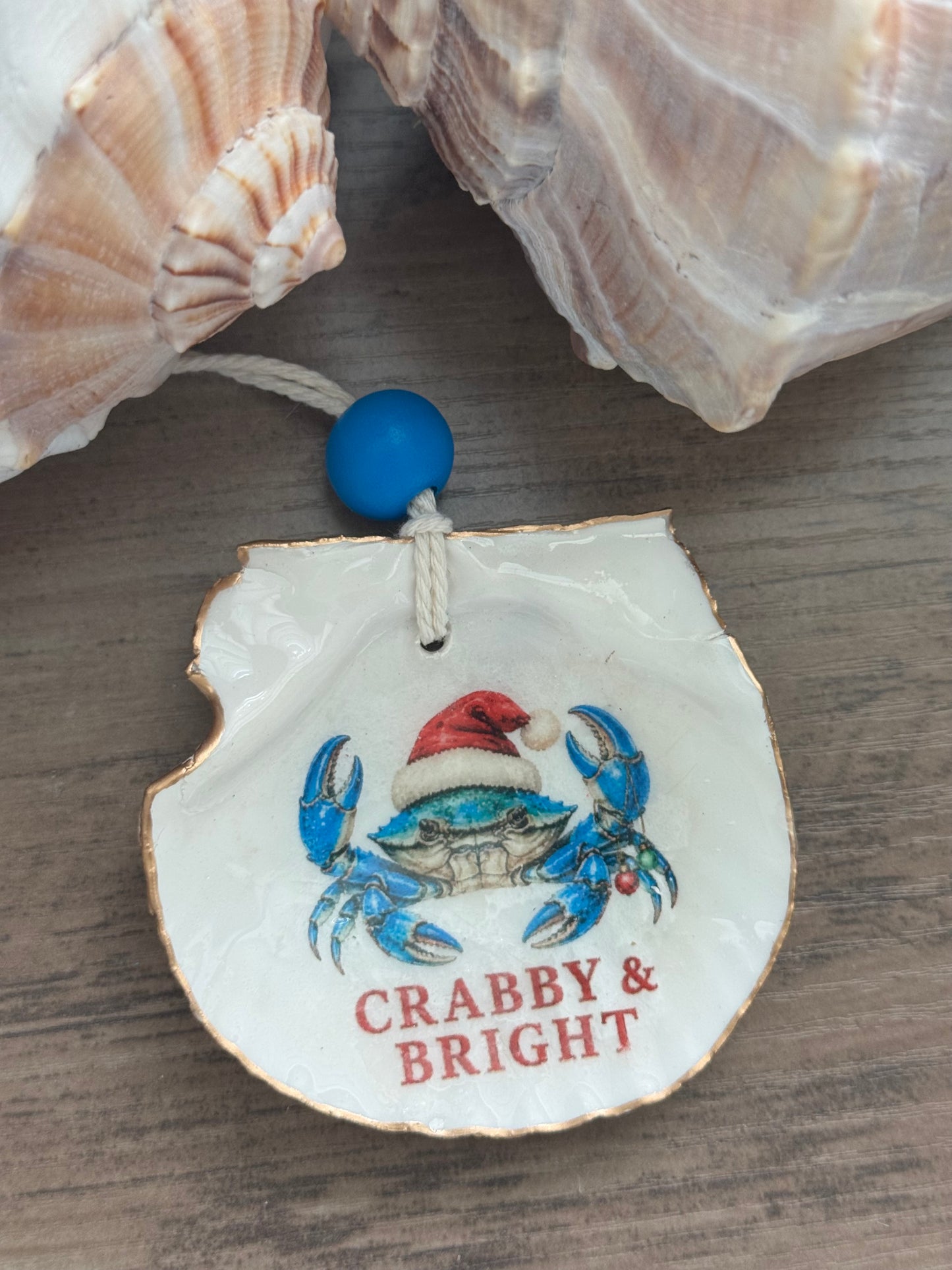 Salty Coastal Christmas Ornament