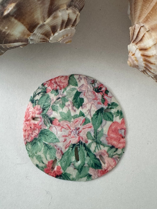 Sand Dollar