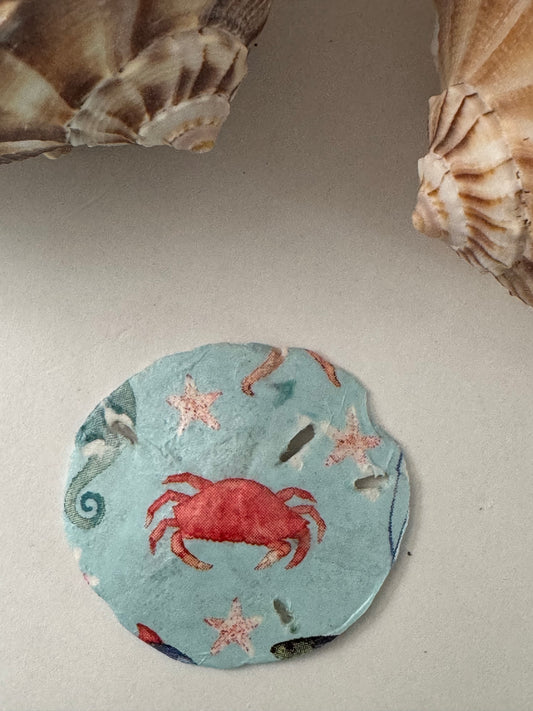 Sand Dollar