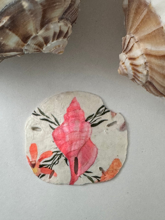 Sand Dollar