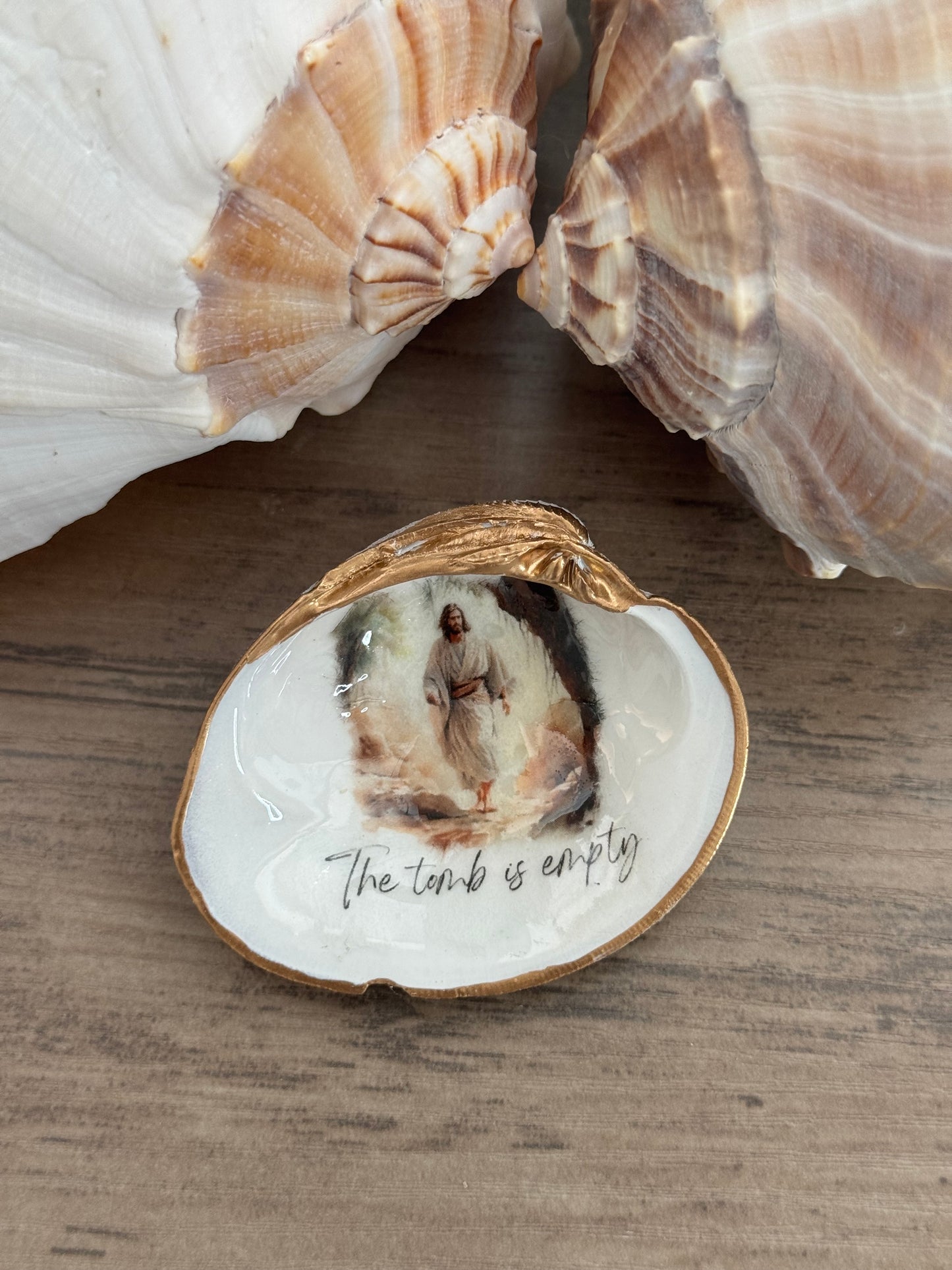 Quahog Clam Shell Trinket Tray
