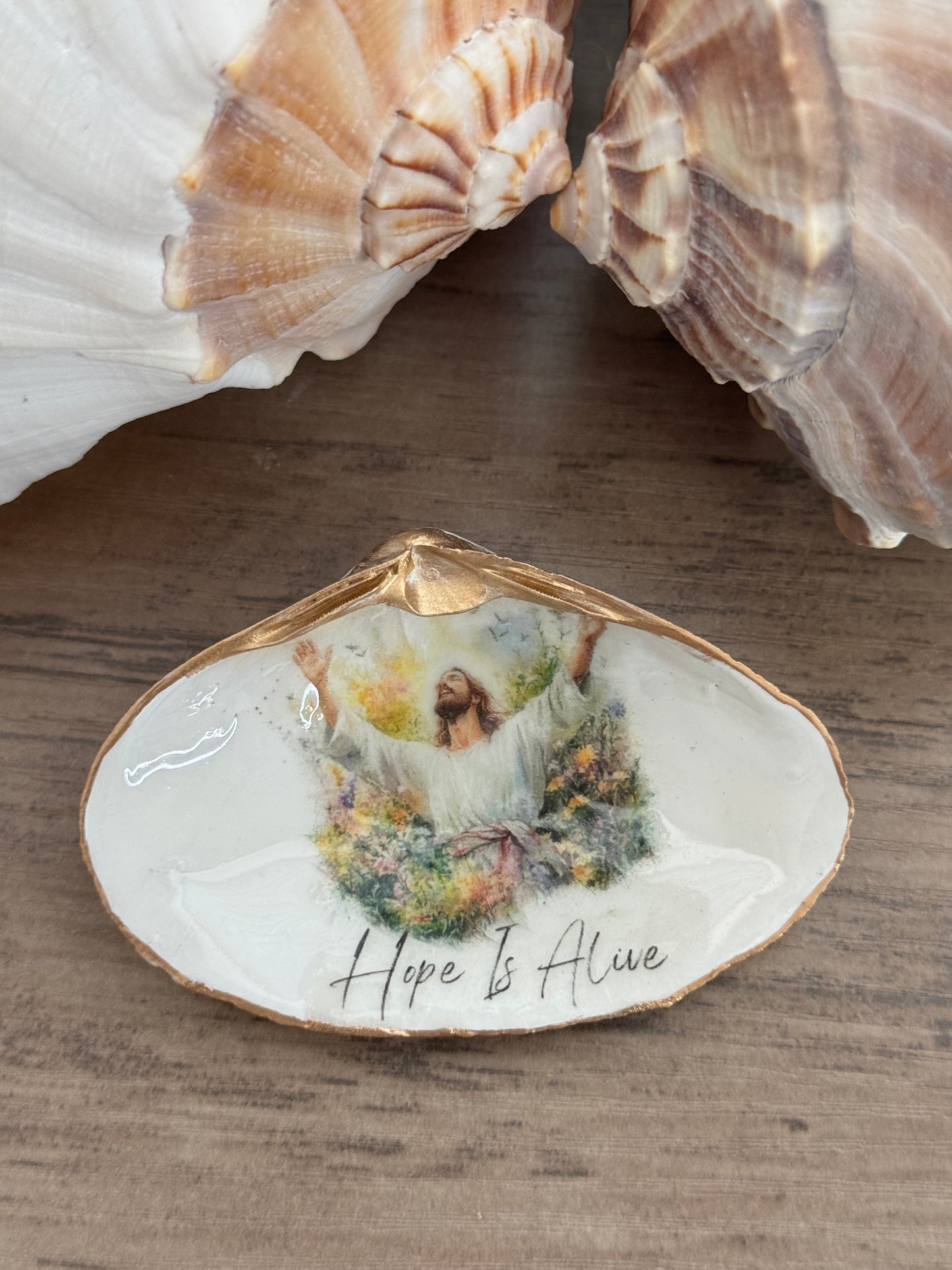 Clam Shell Trinket Tray