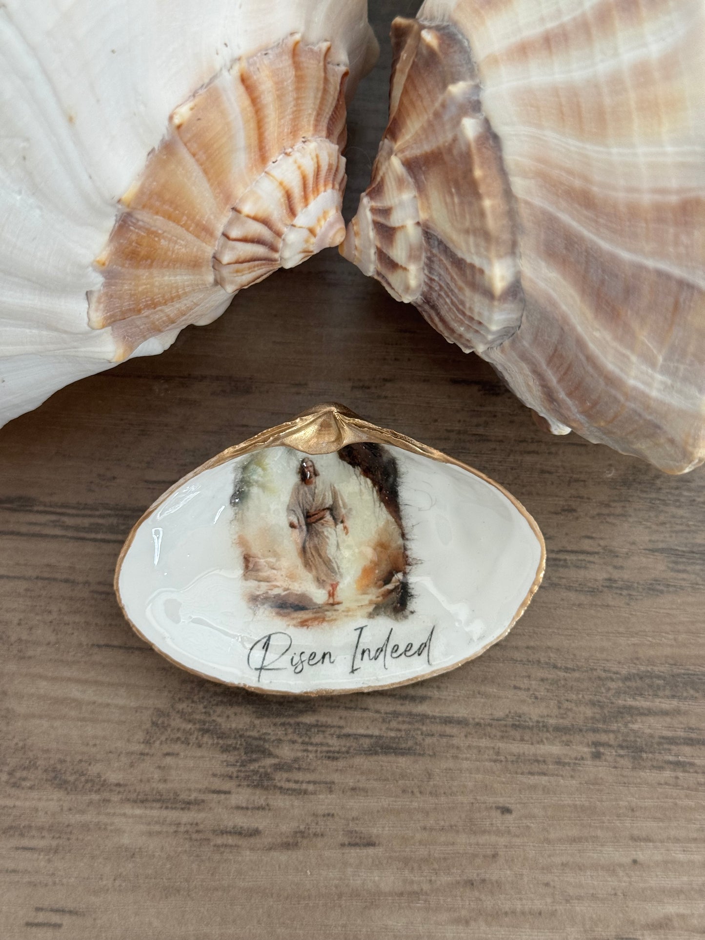 Clam Shell Trinket Tray