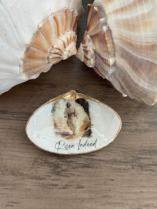 Clam Shell Trinket Tray