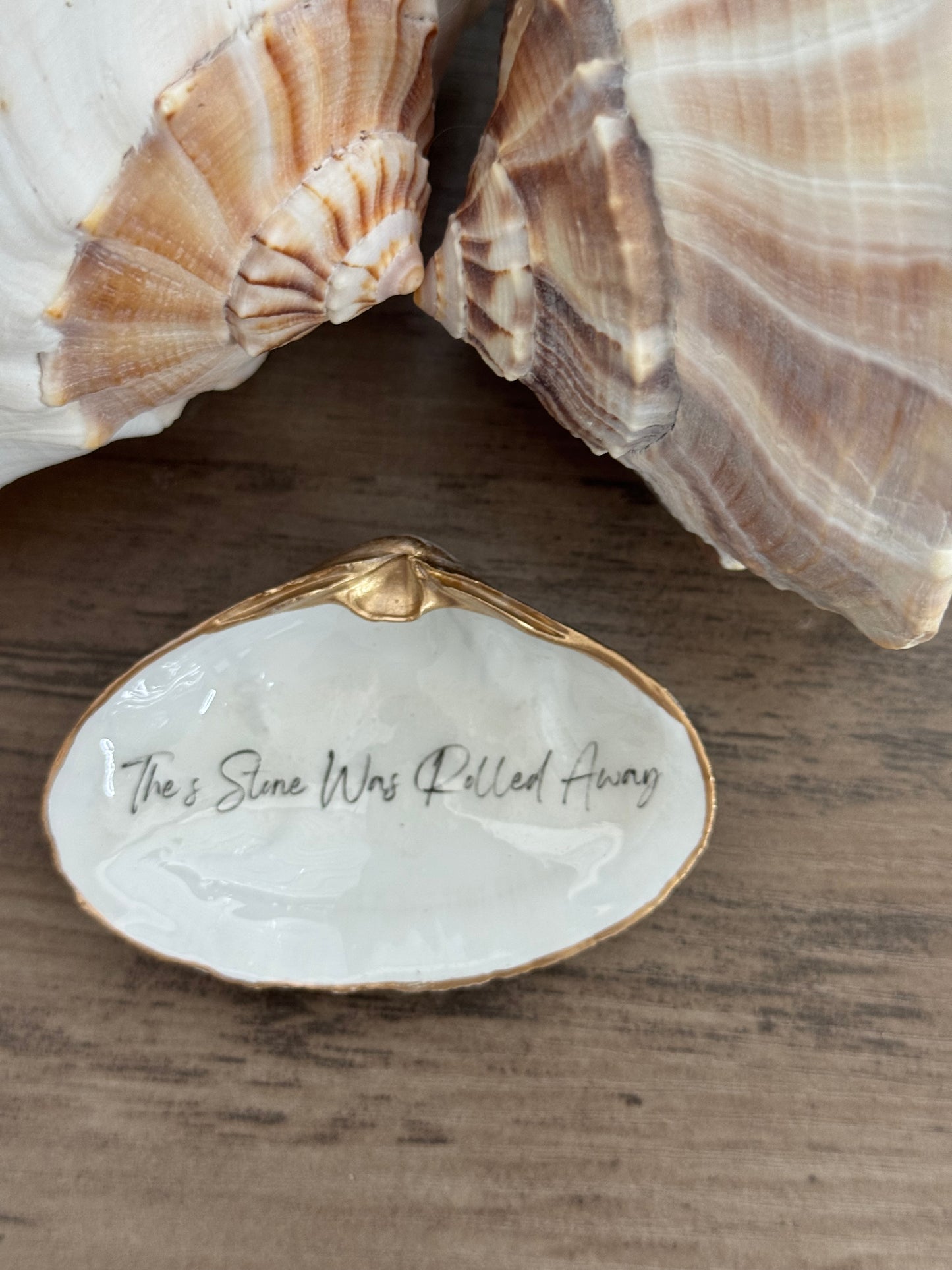 Clam Shell Trinket Tray