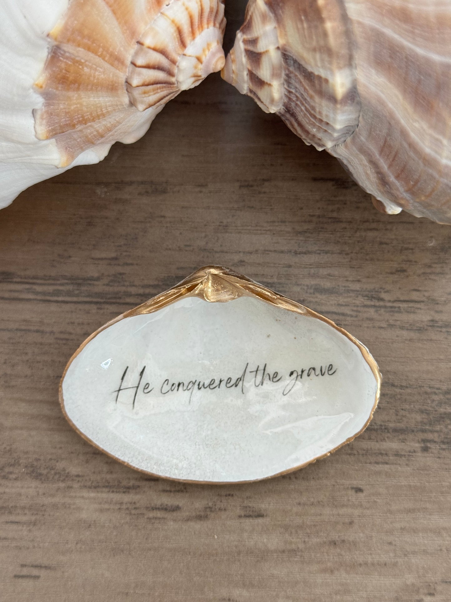 Clam Shell Trinket Tray