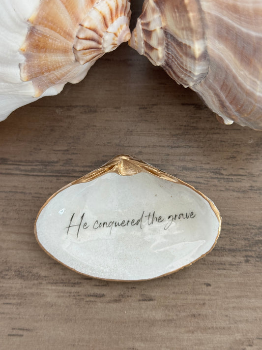 Clam Shell Trinket Tray