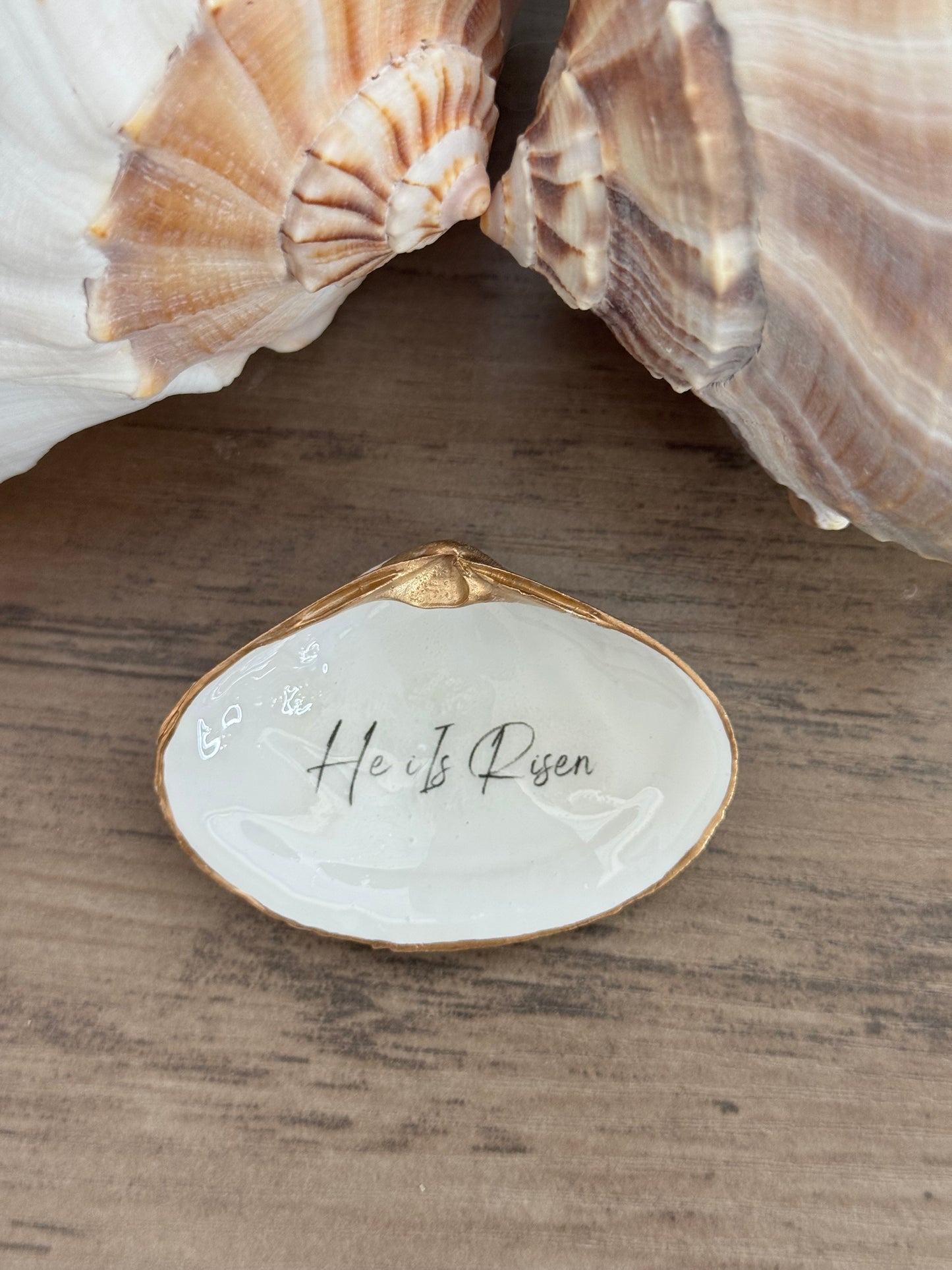 Clam Shell Trinket Tray