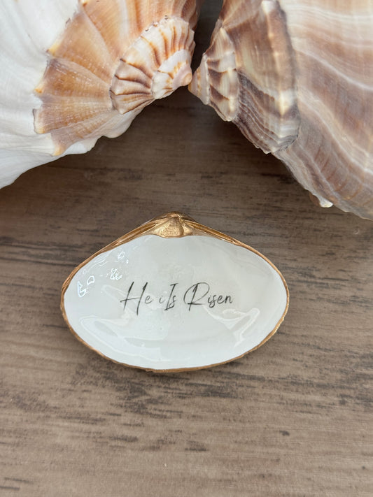 Clam Shell Trinket Tray