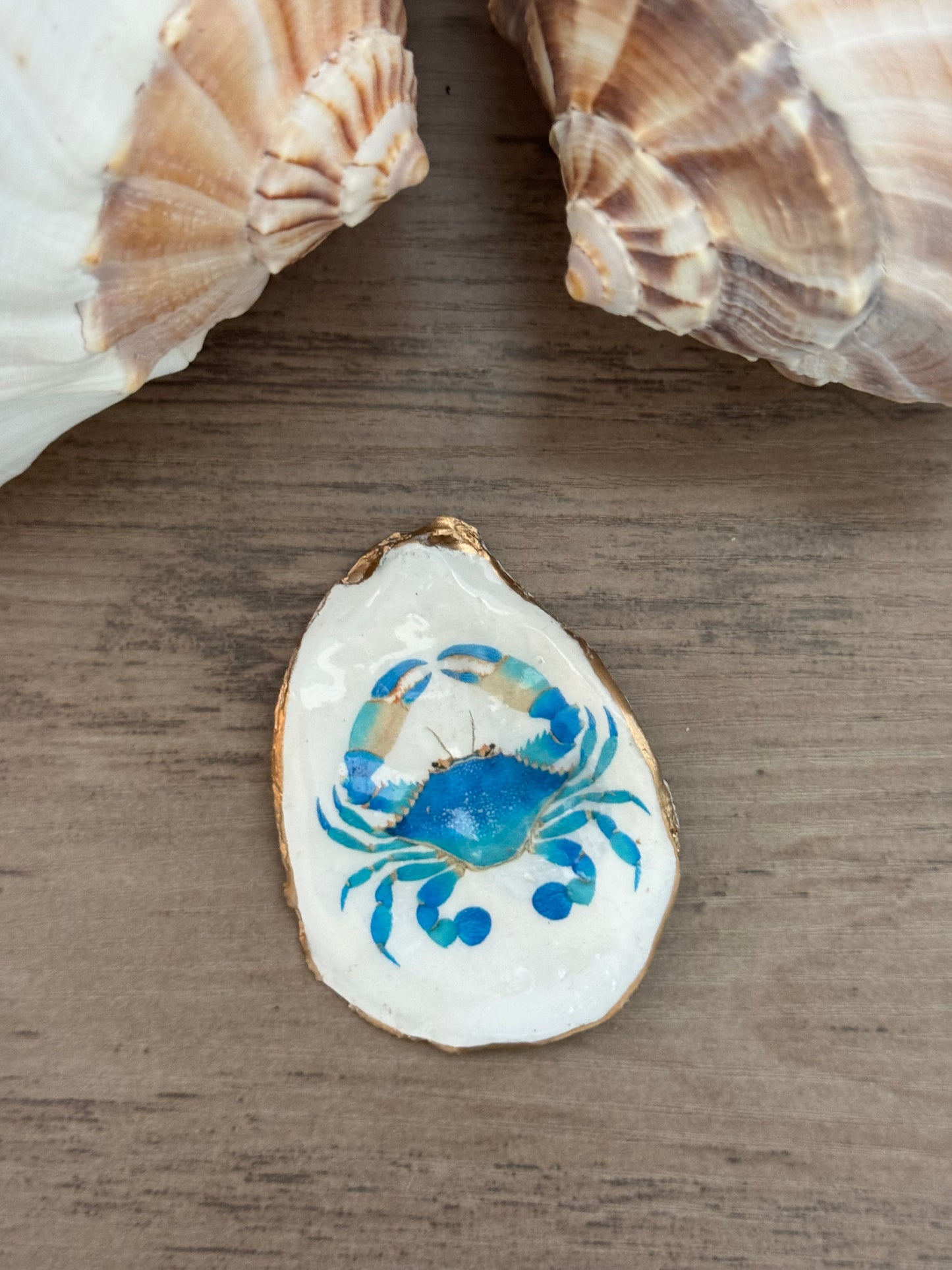 Coastal Shell Art Magnet