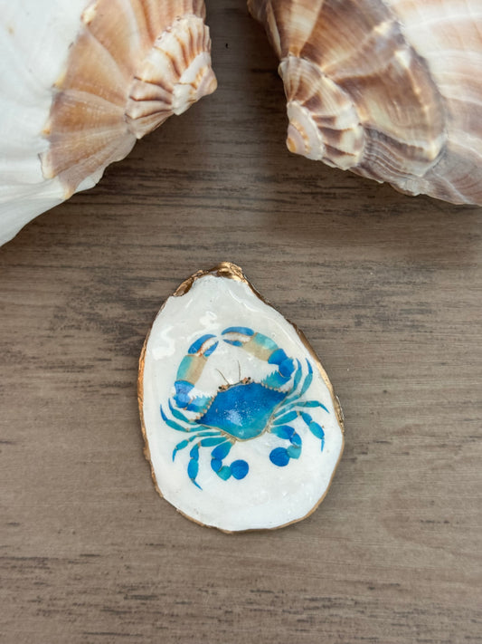 Coastal Shell Art Magnet