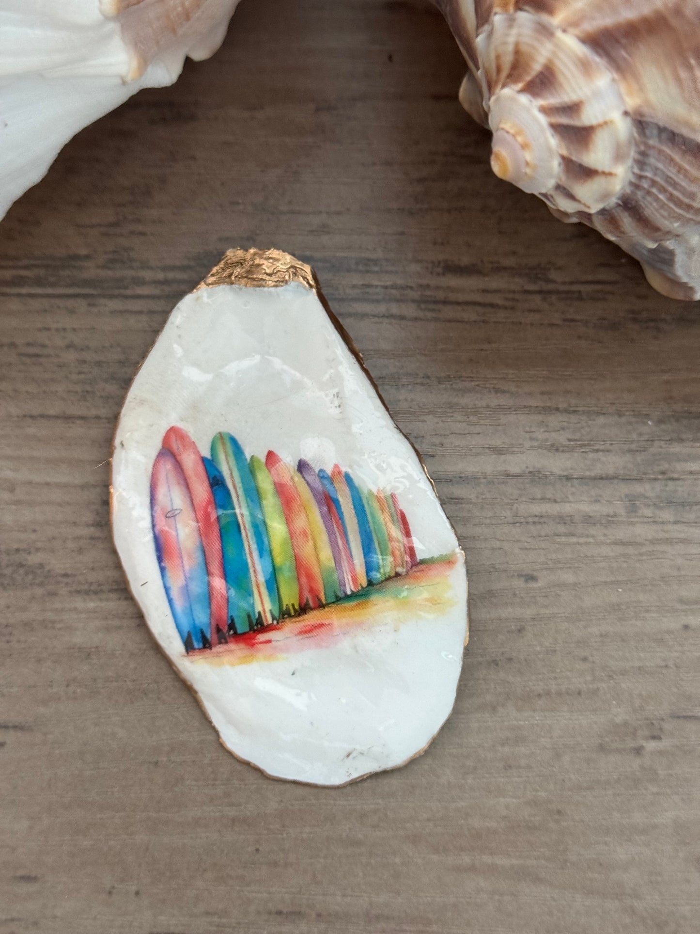 Coastal Shell Art Magnet