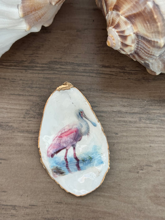 Coastal Shell Art Magnet