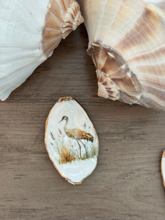 Coastal Shell Art Magnet