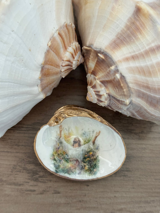 Quahog Clam Shell Trinket Tray