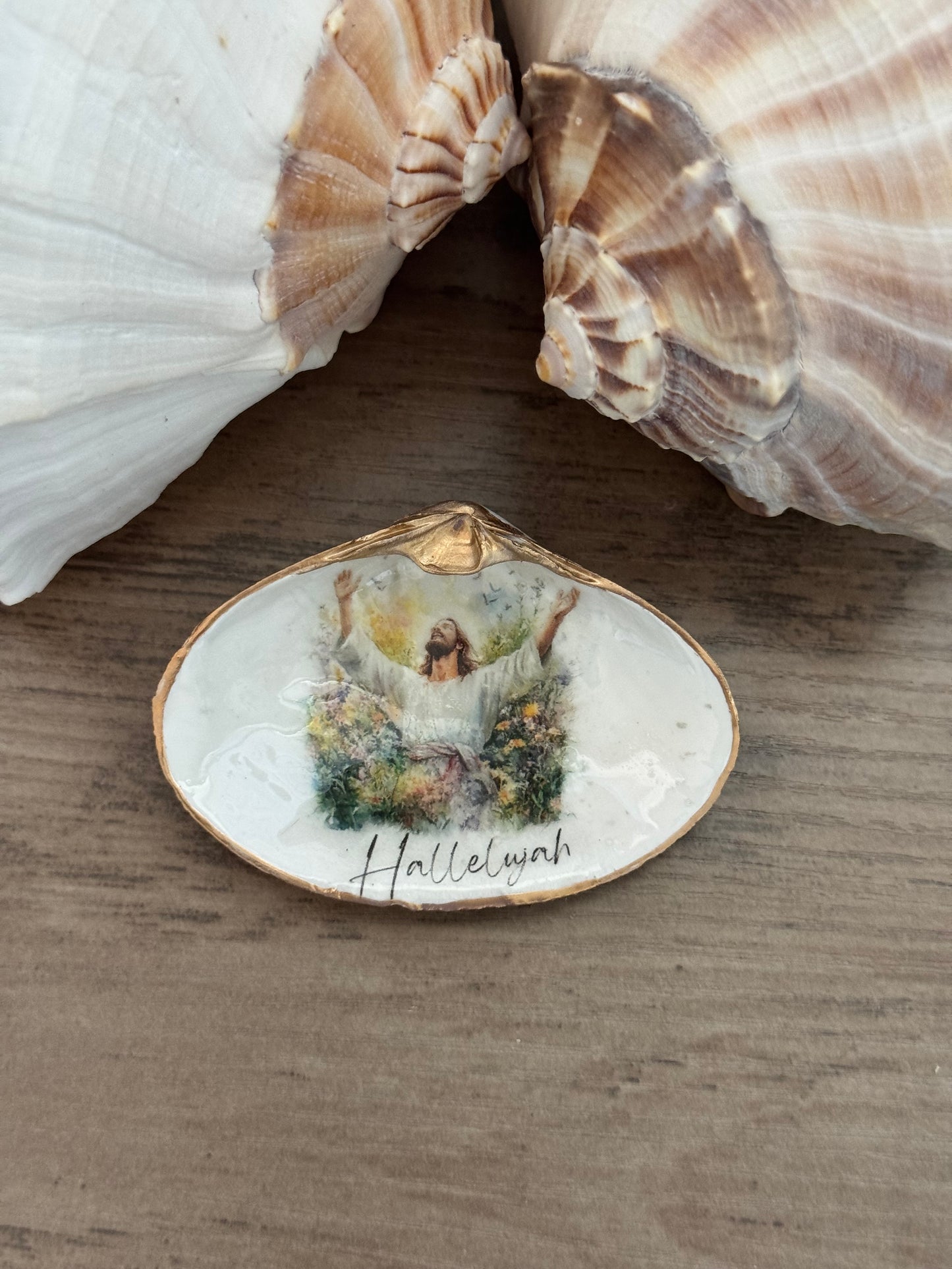 Clam Shell Trinket Tray