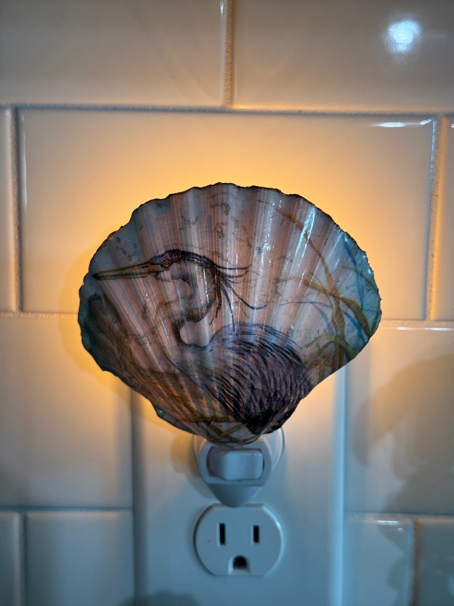 Coastal Glow Nightlight