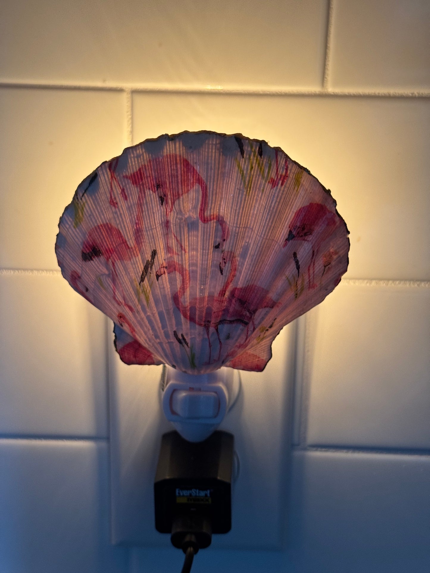 Coastal Glow Nightlight