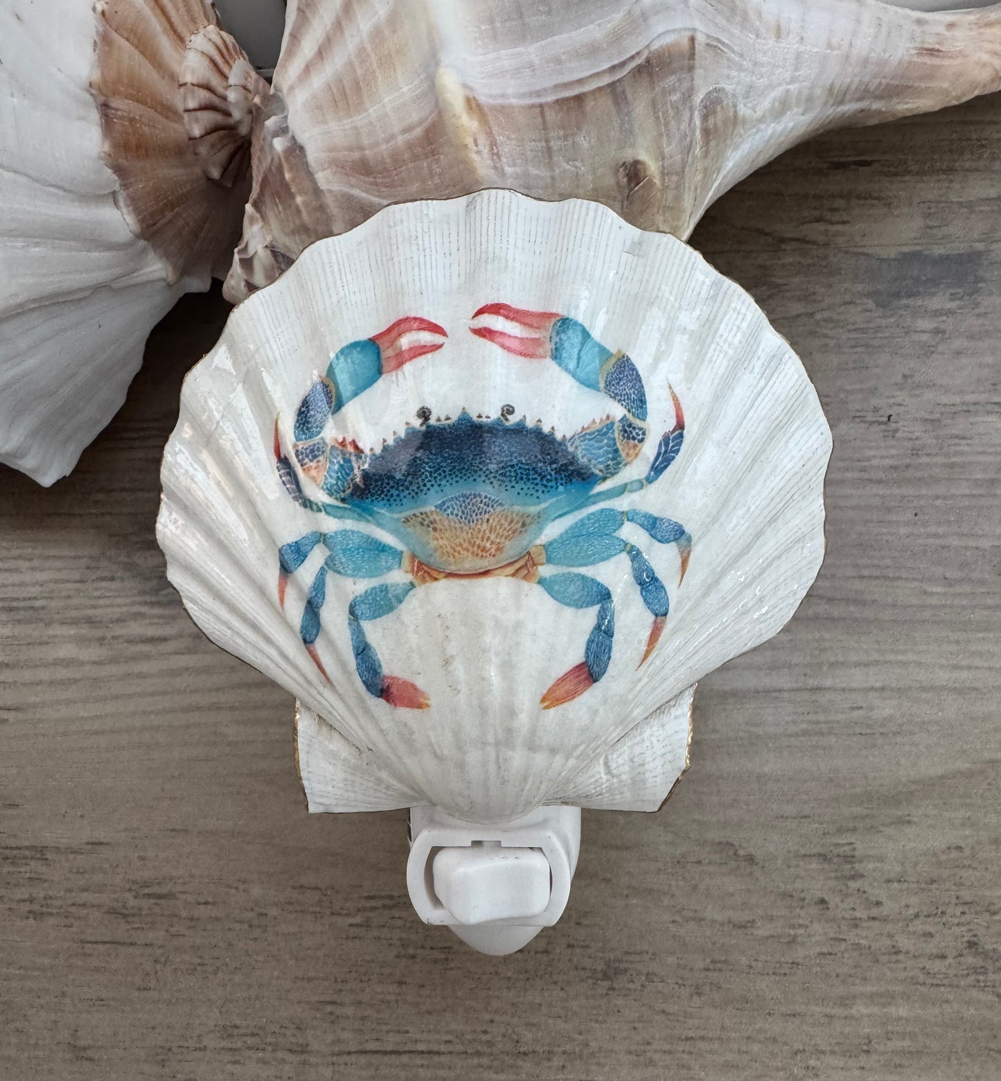 Coastal Glow Nightlight