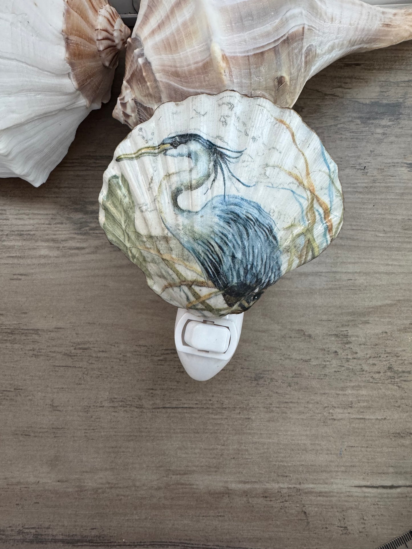 Coastal Glow Nightlight