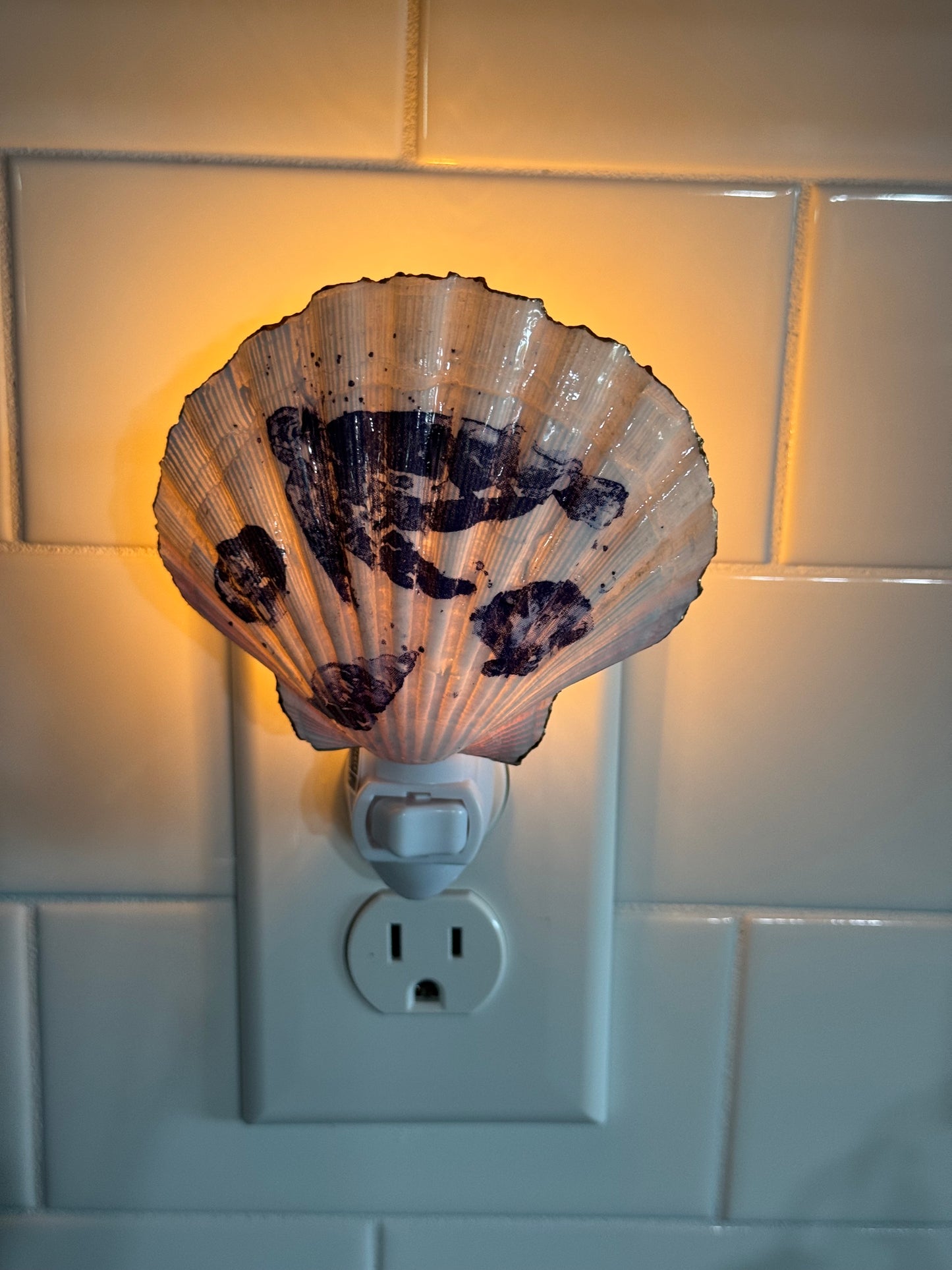 Coastal Glow Nightlight