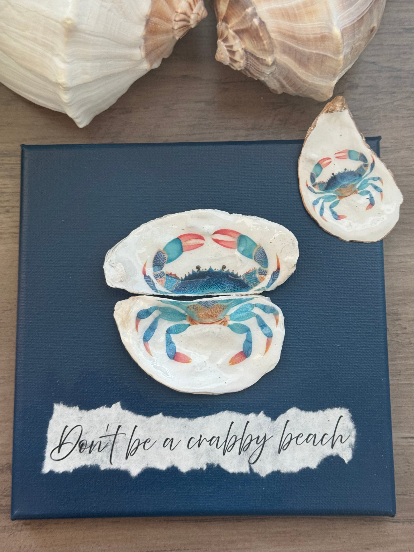 Coastal Shell Canvas Art