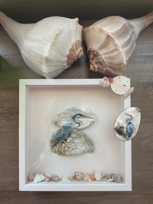 Shell Art Shadow Boxes