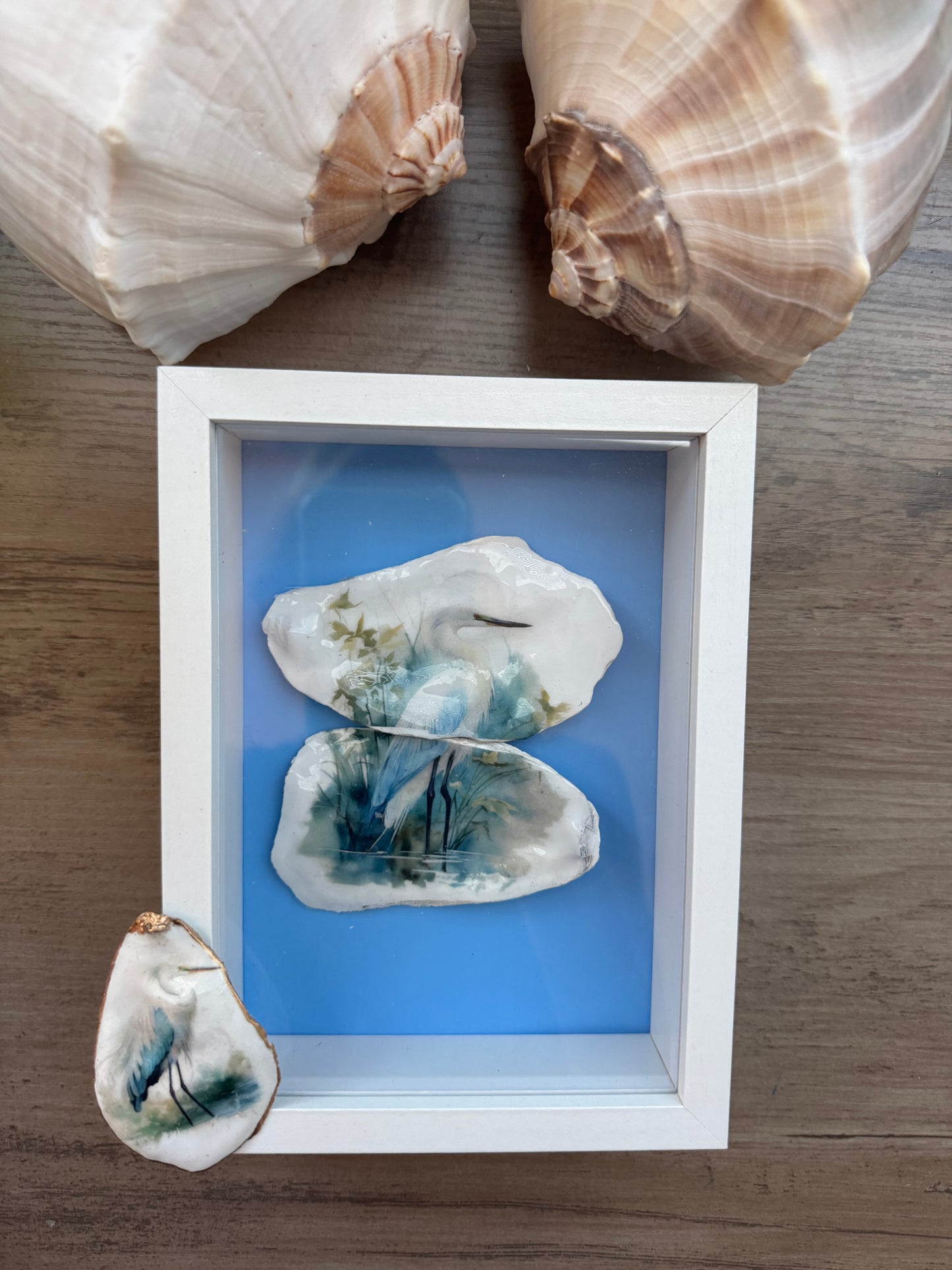 Shell Art Shadow Boxes