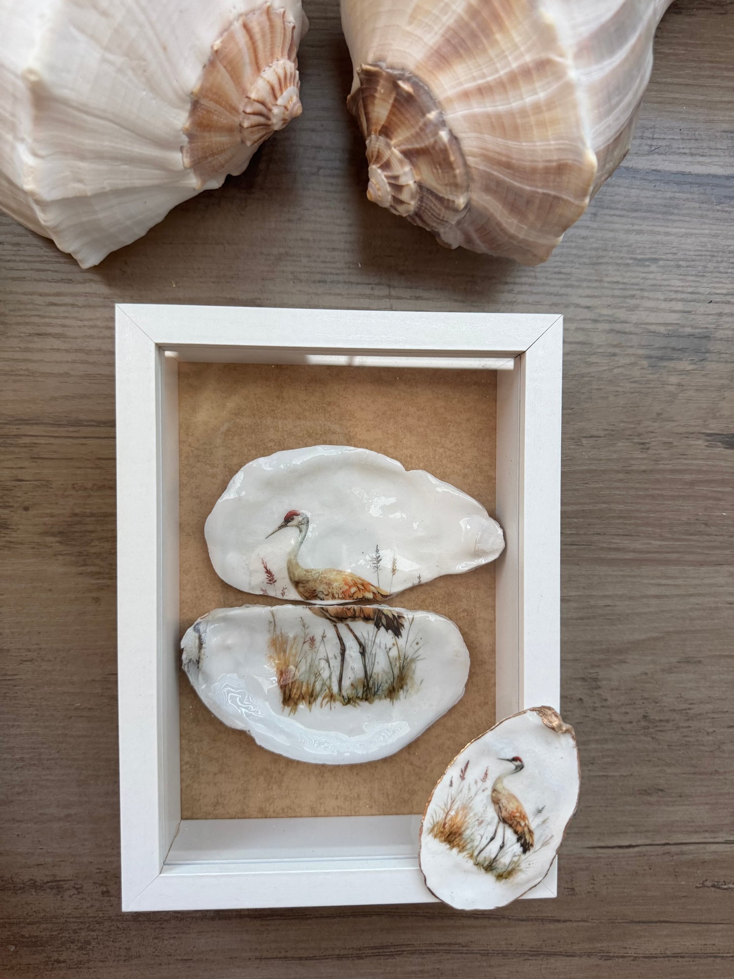 Shell Art Shadow Boxes