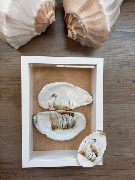 Shell Art Shadow Boxes