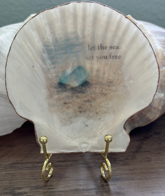 Jeweled Tides Scallop Shell