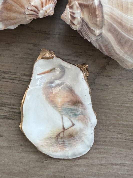 Seaside Expressions Oyster Shell