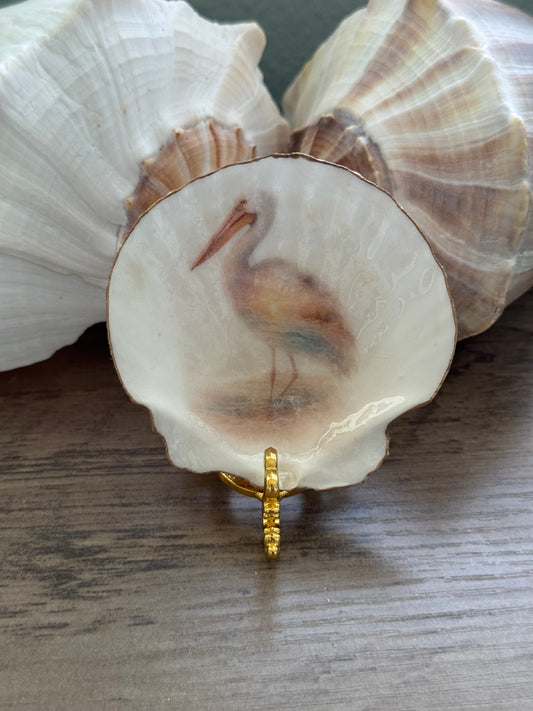 Seaside Expressions Scallop Shell