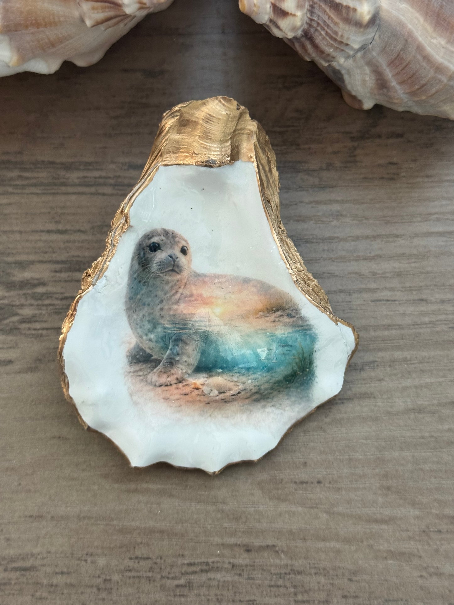 Seaside Expressions Oyster Shell
