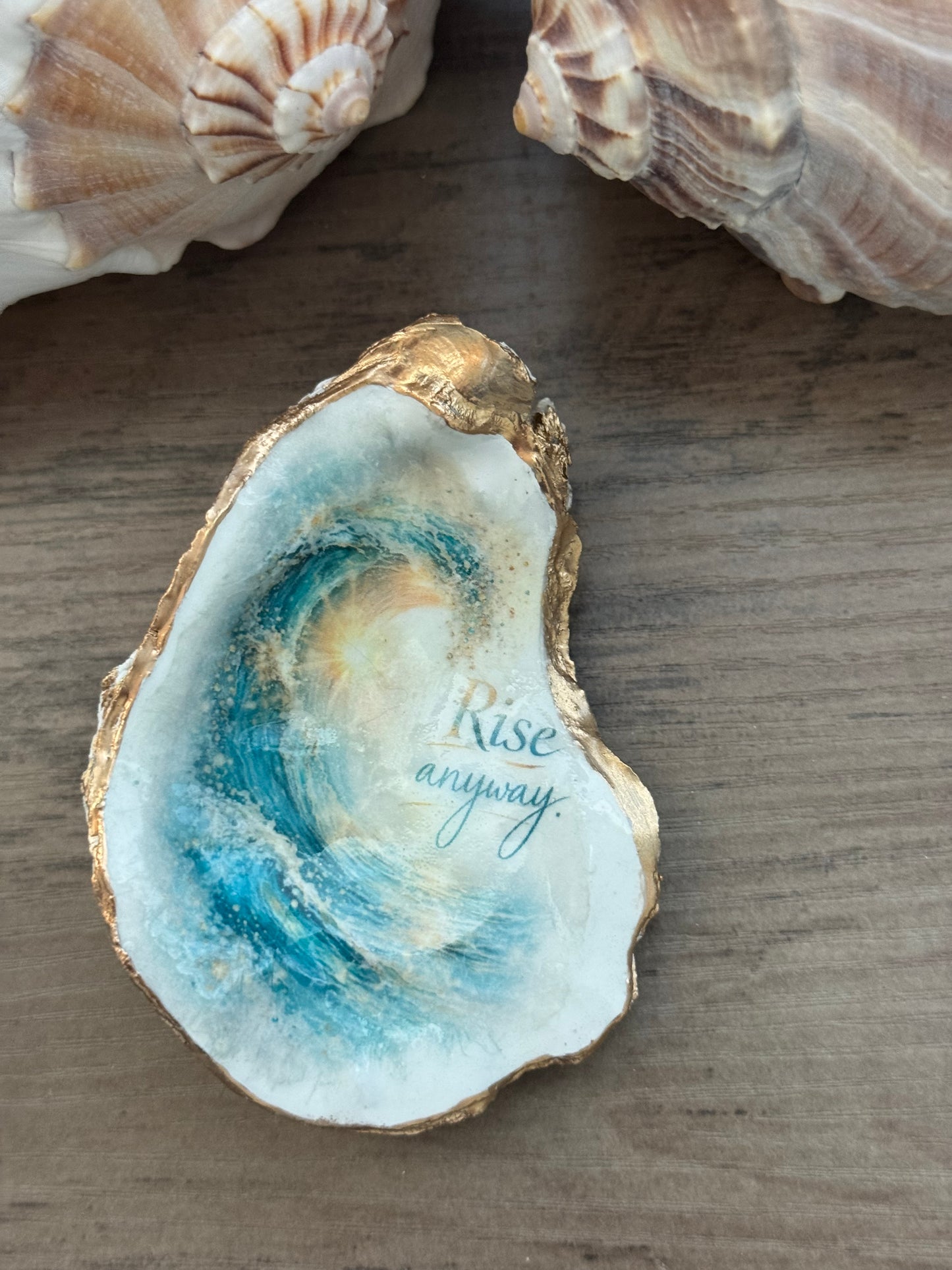 Seaside Expressions Oyster Shell