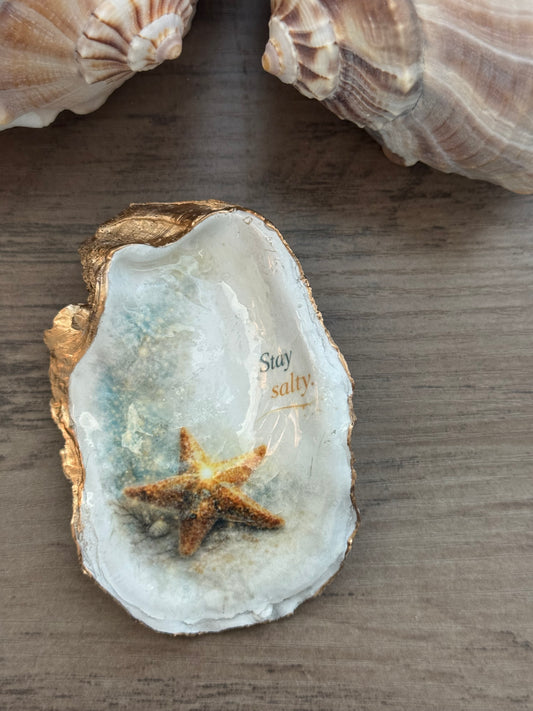 Seaside Expressions Oyster Shell