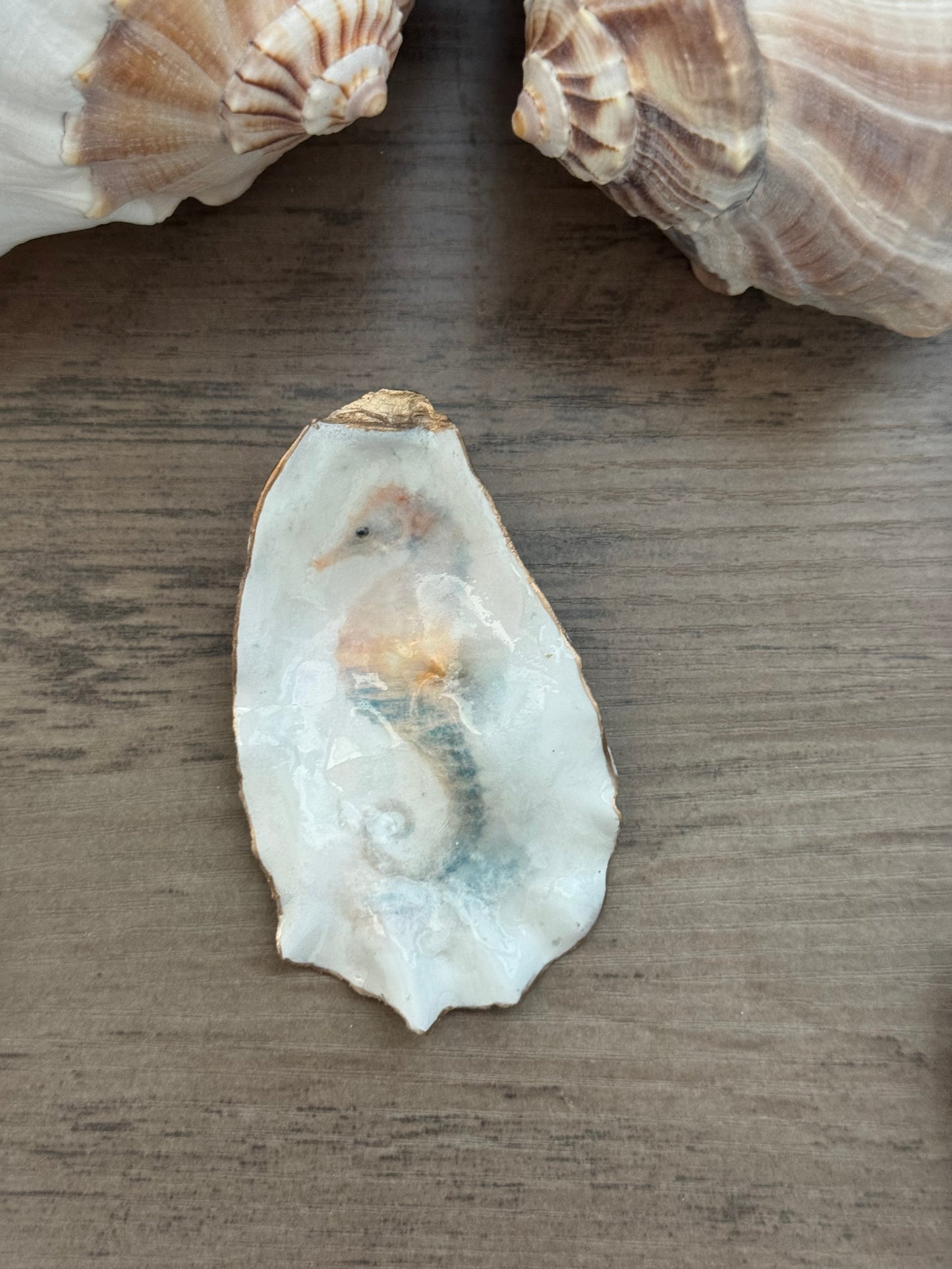 Seaside Expressions Oyster Shell