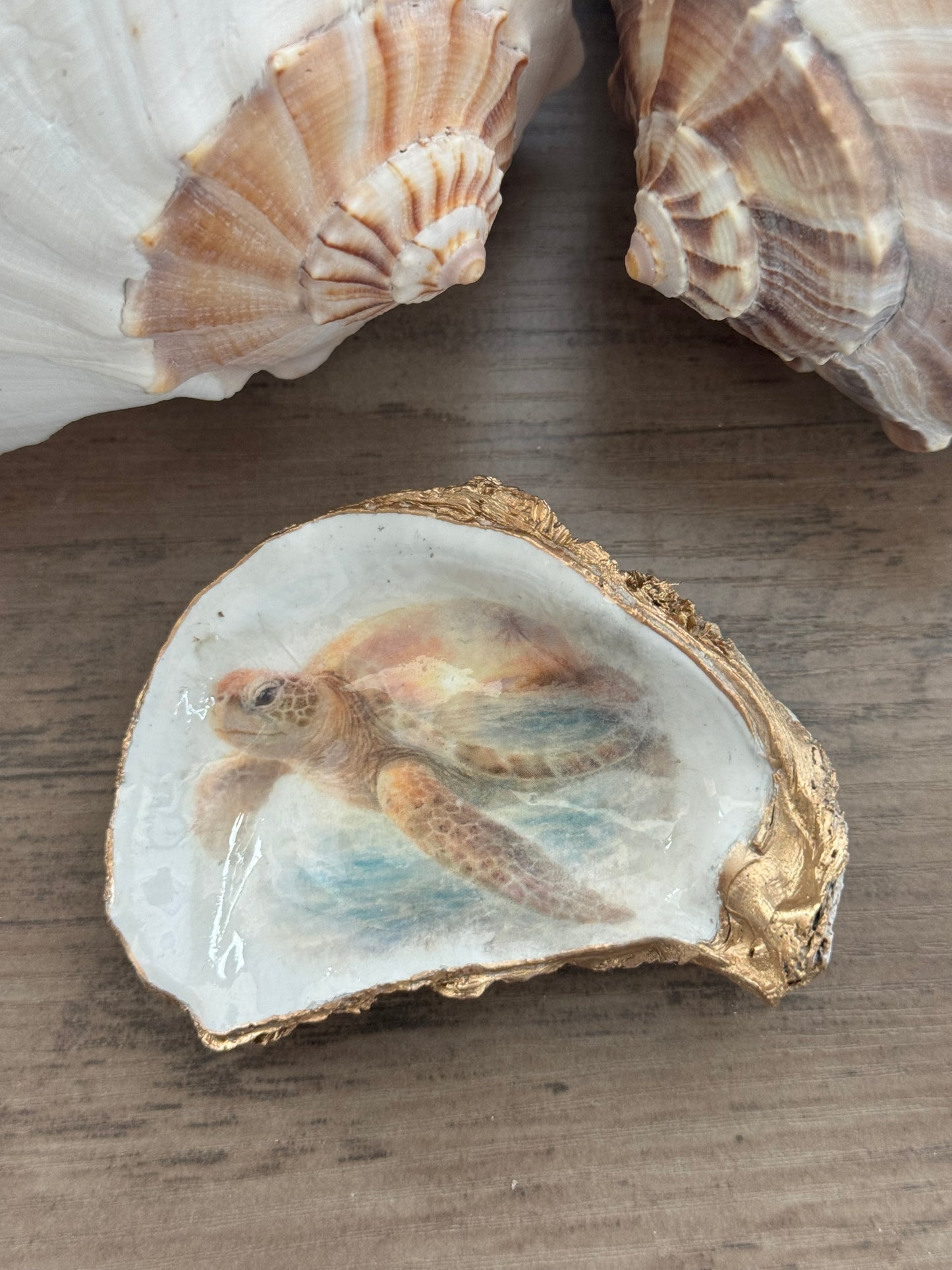 Seaside Expressions Oyster Shell