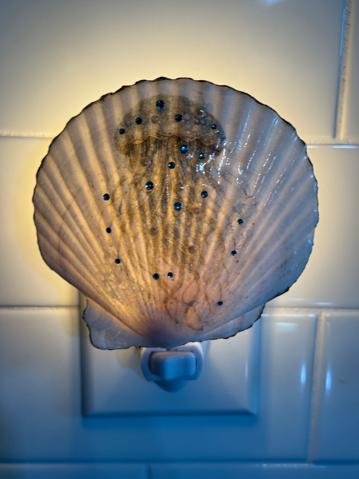 Coastal Glow Nightlight