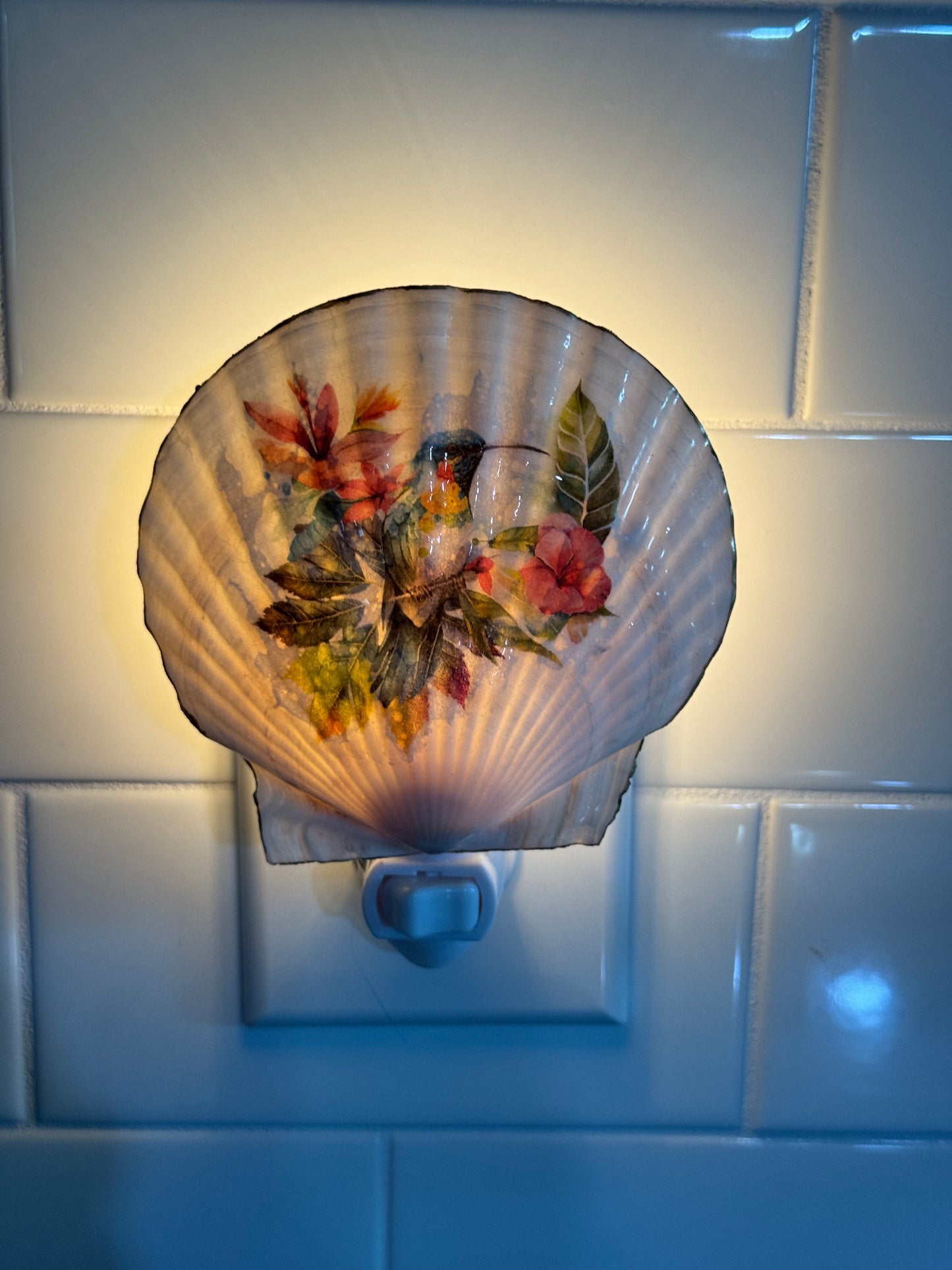 Coastal Glow Nightlight